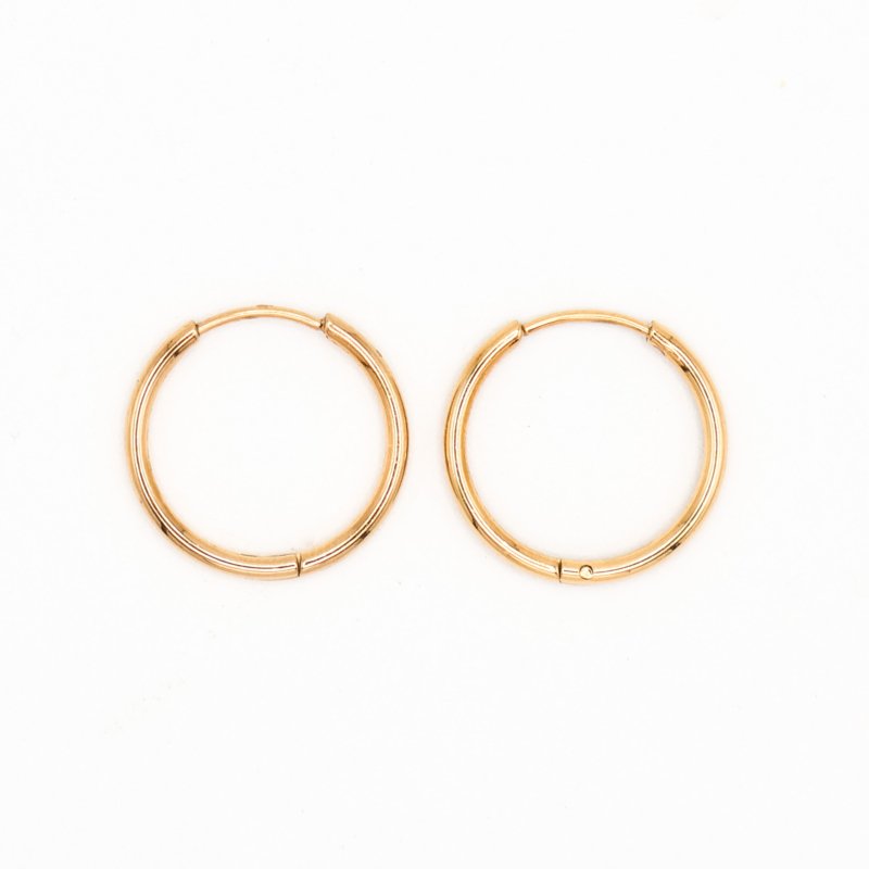 Erin Hoop Earrings Gold