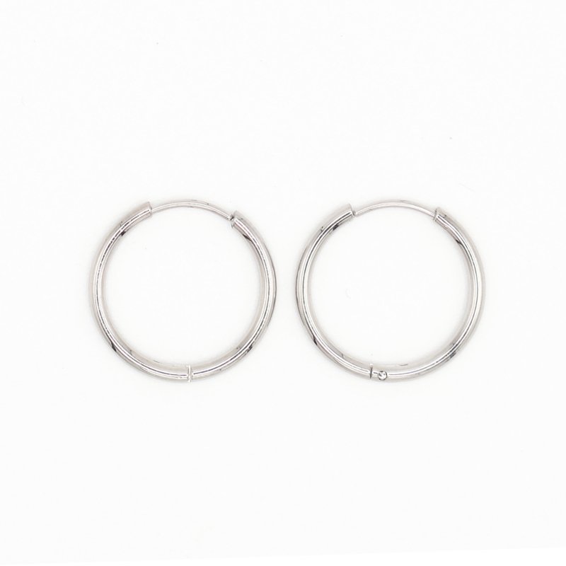 Erin Hoop Earrings Silver