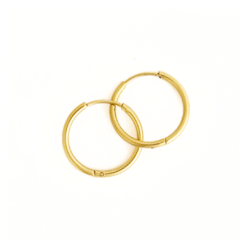Everyday Hoop Earrings
