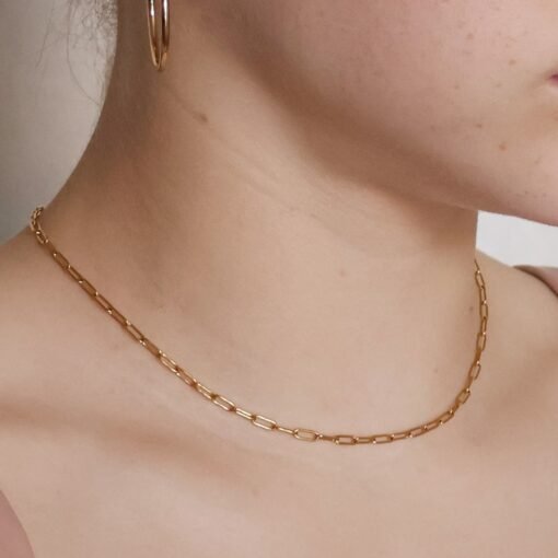 Paperclip Chain - Image 2