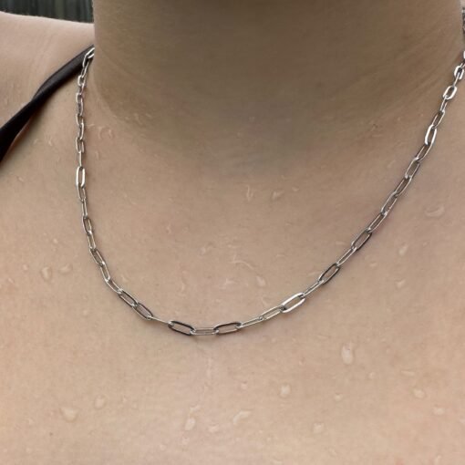 Paperclip Chain - Image 5