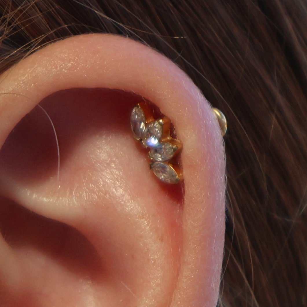 Melanie Helix Earring - Image 2