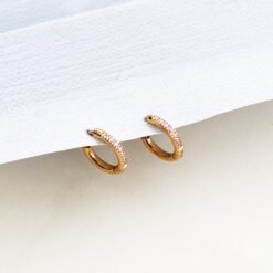 Lulu Hoop Earrings