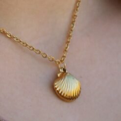 Seashell Necklace