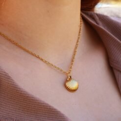 Seashell Necklace